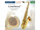 CannWood Saxophone_ _ Professional Class _ CTS_5000GL _
